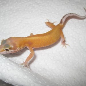 resized_temporada 2009 075.jpg