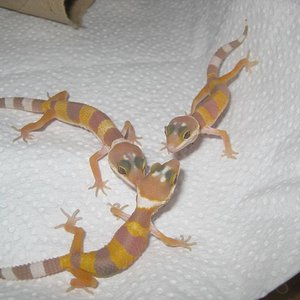 resized_temporada 2009 129.jpg