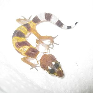 resized_temporada 2009 146.jpg