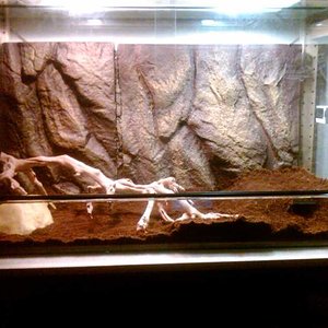 terrario 1_819x614.jpg