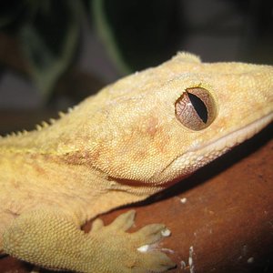 resized_temporada 2009 283.jpg