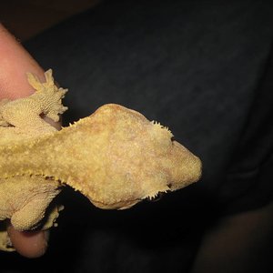 resized_temporada 2009 285.jpg