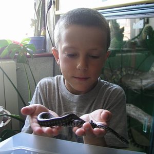 P1010032 [Resolución de Escritorio].JPG