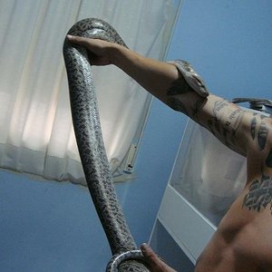 granito het albino pq 2.JPG