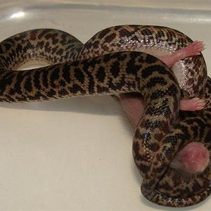 DSC01172 (Small).JPG