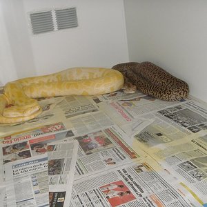 albina y granito pq2.JPG