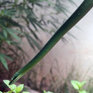 IMG_2577 [800x600].JPG