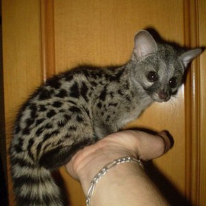 Mora dos meses 2.jpg