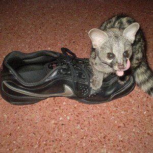 Mora dos meses 1.jpg