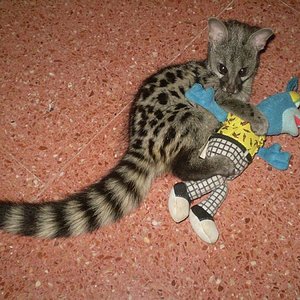 Mora dos meses 3.jpg