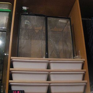 resized_HAMM 2009 + instalaciones 039.jpg