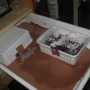 resized_HAMM 2009 + instalaciones 2 002.jpg