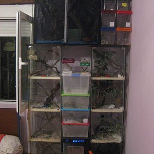 resized_HAMM 2009 + instalaciones 050.jpg