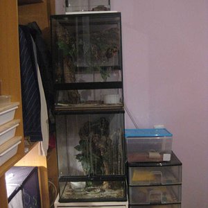 resized_HAMM 2009 + instalaciones 045.jpg