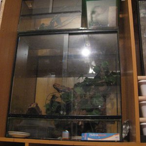 resized_HAMM 2009 + instalaciones 040.jpg