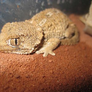 resized_HAMM 2009 + instalaciones 072.jpg