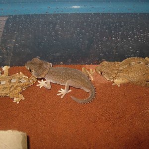 resized_HAMM 2009 + instalaciones 077.jpg