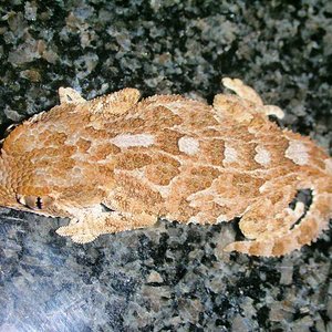 resized_david 108.jpg