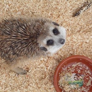 Copia de P1000751.JPG