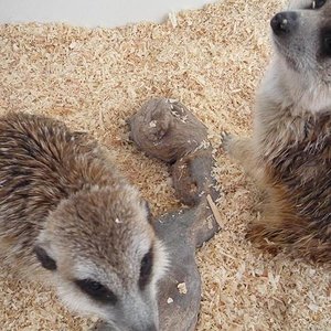 Copia de P1000755.JPG