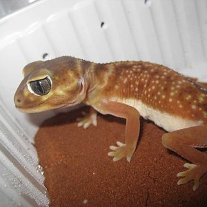 resized_HAMM 2009 + instalaciones 4 002.jpg