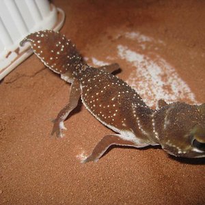 resized_HAMM 2009 + instalaciones 4 006.jpg