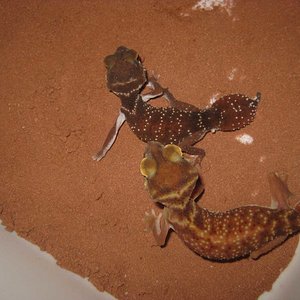 resized_HAMM 2009 + instalaciones 4 007.jpg