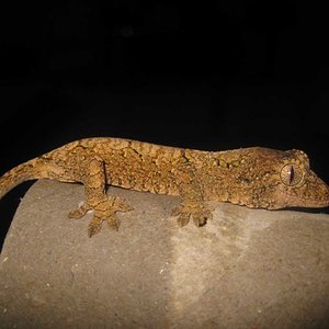 resized_HAMM 2009 + instalaciones 053.jpg