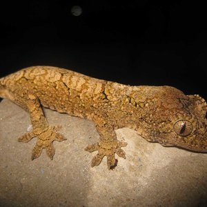 resized_HAMM 2009 + instalaciones 052.jpg