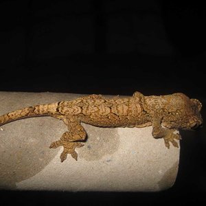 resized_HAMM 2009 + instalaciones 054.jpg