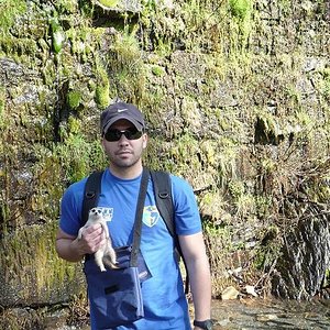 Copia de P1000265.JPG