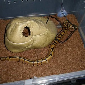 arenis  21 de septiembre de 2009 p9210076-reducido.jpg