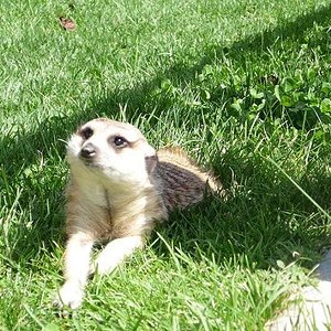 Copia de P1000778.JPG