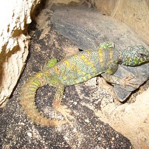 Copia de IMG_1792.JPG