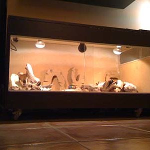 instalacion luces.jpg