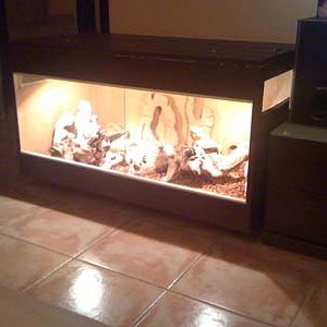 en el sofa disfrutando.jpg