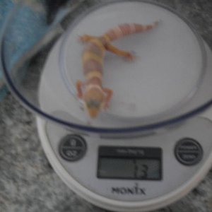 SDC10164 (Custom).JPG