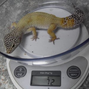 SDC10173 (Custom).JPG