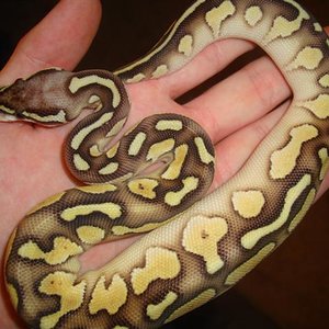 DSC05675 (Small).JPG