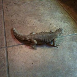 foto52573572 (Small).jpg