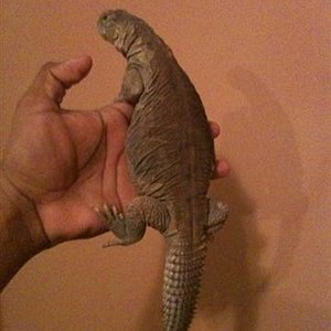 877858755 (Small).jpg