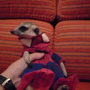 Copia de P1000818.JPG