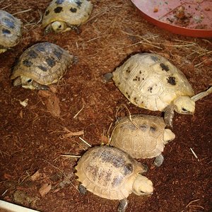 tot el grupillo~1.JPG