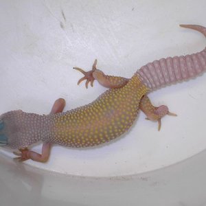 PICT5520 [640x480].JPG