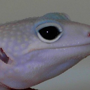 PICT5529 [640x480].JPG