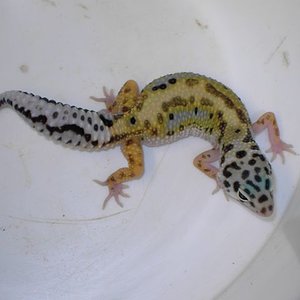 PICT5487 [640x480].JPG