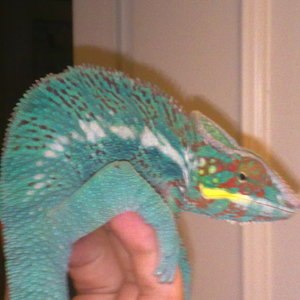 gen noviembre 09.jpg