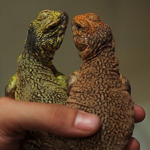 Resized DSC_0202.jpg