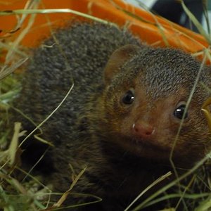 Copia de P1000940.JPG