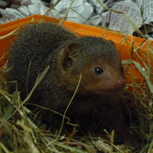 Copia de P1000943.JPG